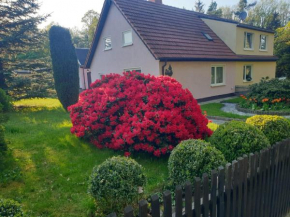 Ferienhaus Pali - idyllische Atmosphäre